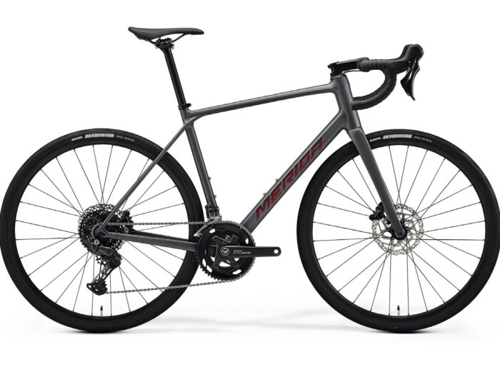 MERIDA Scultura Endurance 300 Silk Cool Grey (Red) 2026